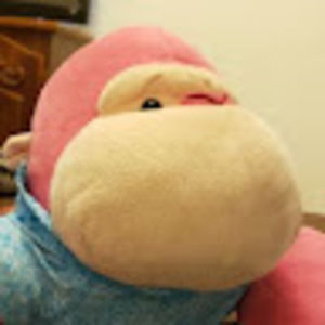 Meet your Posher, Raul